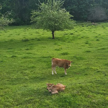 Lägenhet Ca Na Daniela *