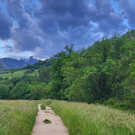 Ca Na Daniela * Carreña de Cabrales